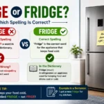 Frige or Fridge