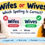 wifes or wives