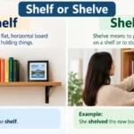 Shelf or Shelve