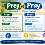 Prey or Pray